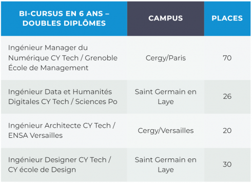 bicursus double diplome